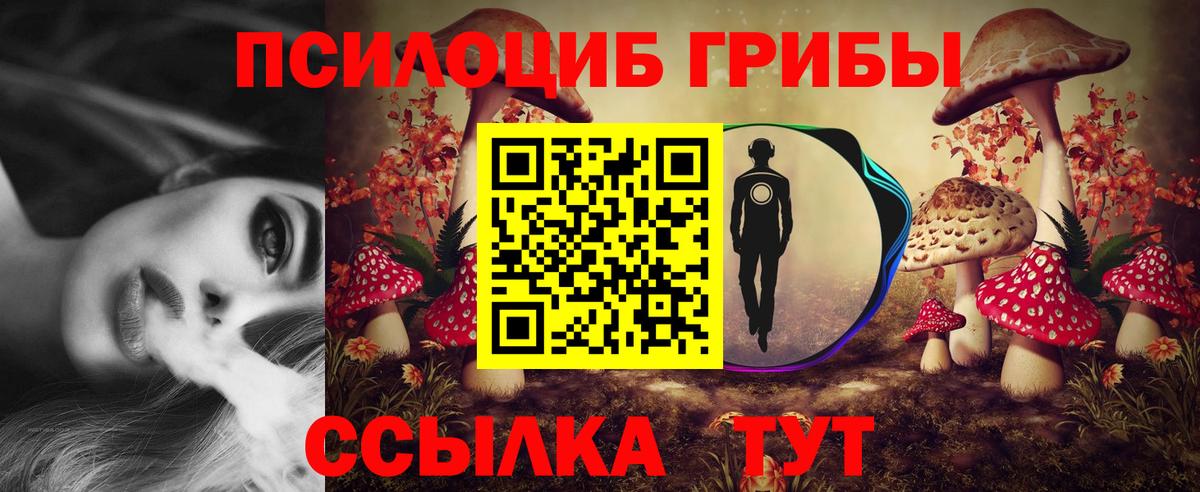 Псилоцибиновые грибы прущие грибы  Галлюциногенные грибы MAGIC MUSHROOMS  Белореченск  Вход с VPN 